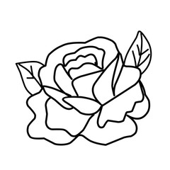 rose flower greenery leaves