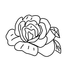 rose flower greenery leaves