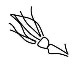 rose flower greenery leaves