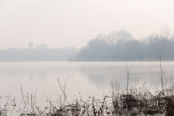 Fototapeta premium foggy landscape alon the Ticino river during a winter morning, Pavia