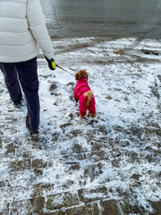 A person is leisurely strolling with a small dog on a leash, meandering through gently falling...