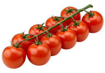 Cluster of Fresh Red Tomatoes on the Vine Against Transparent Background