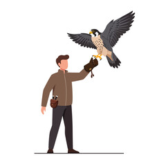 Falcon perched on a handlers glove in a flat vector illustration