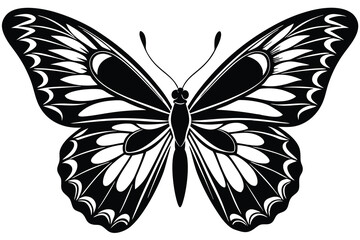 Silhouette of a butterfly, black vector isolated on white background