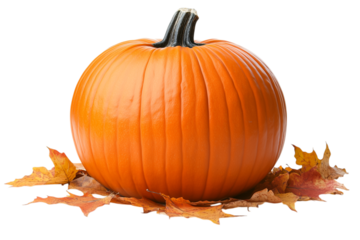 Pumpkin on colorful autumn leaves isolated on transparent background