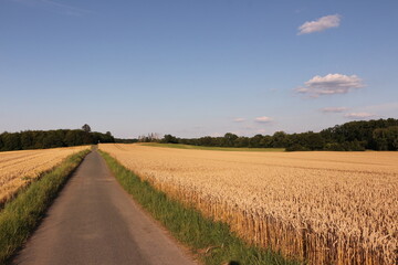 Abendstimmung in den Feldern der Stadt Iserlohn im Sauerland	