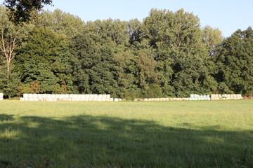 Abendstimmung in den Feldern der Stadt Iserlohn im Sauerland	