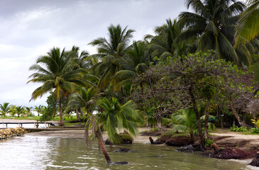 Obraz premium The Livingston Coast in Guatemala