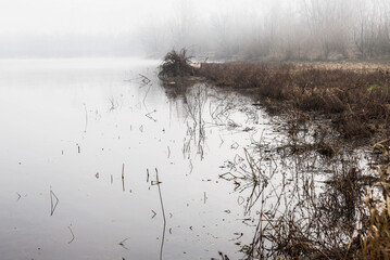 foggy landscape alon the Ticino river during a winter morning, Pavia