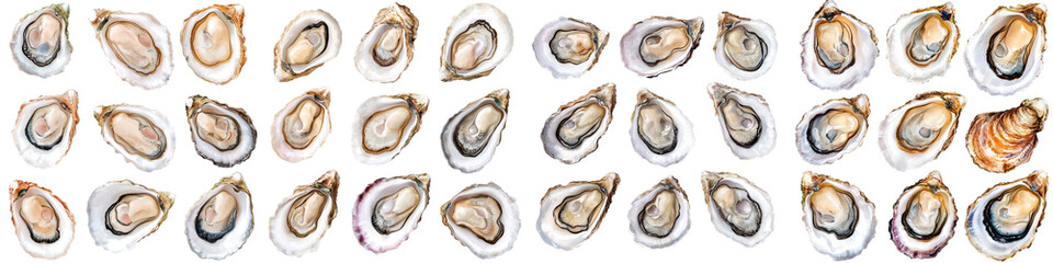 Assortment of Fresh Shucked Oysters Served on a Wooden Platter with Lemon Wedges Mignonette Sauce and Other Gourmet Condiments in a Luxury Dining or Restaurant Setting