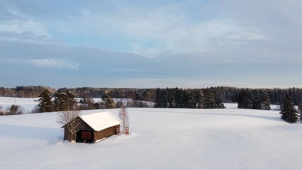 winter landscape with snow