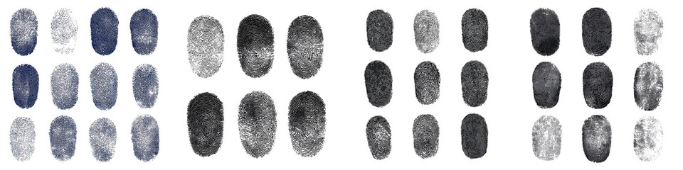 Comprehensive collection of detailed fingerprint patterns and textures for biometric identification security access forensic analysis and personal data protection applications