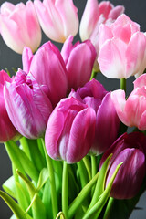 Obraz premium A stunning close-up of a bouquet of pink tulips in full bloom, showcasing their delicate petals and vibrant hues