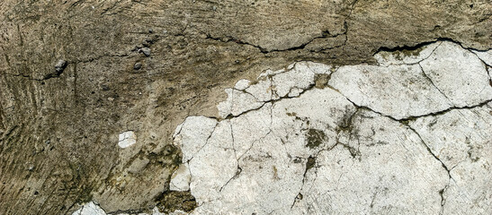 old wood texture