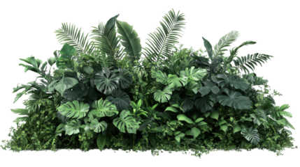 A lush, green tropical bush with a mix of large, dark green leaves and small vines, cut out and isolated on a transparent background, perfect for jungle-themed designs