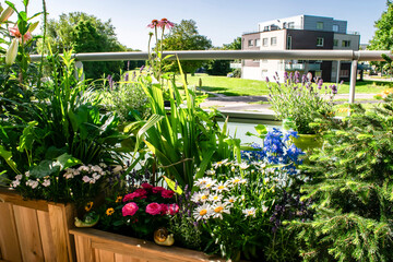 Landscape With Flowers And Plants