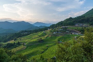 Naklejka premium 三重県熊野市の美しい棚田、丸山千枚田の風景