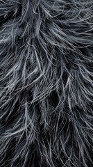 Naklejka premium Black and white fur with distinct patterns showcasing texture and softness in detail