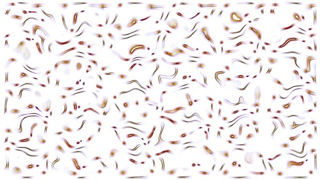 789 turbulent 100 100 2 edges