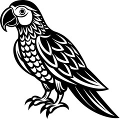 Vector bird illustration depicting owl, eagle, and hawk, a wild nature symbol