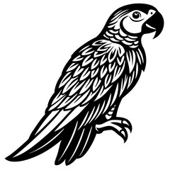 Fototapeta premium A wild black eagle vector illustration with spread wings, a symbol of freedom