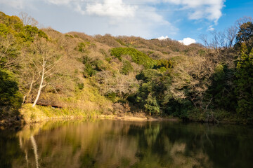 山々に囲まれた静かな湖の風景