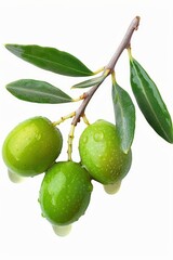 Fresh green olives with water droplets