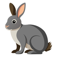 rabbit isolated on white