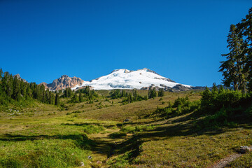 Fototapeta premium Scenic Hiking Trail at Mt. Baker – Stunning Alpine Meadow Leading to Snow-Capped Peaks in Washington’s North Cascades