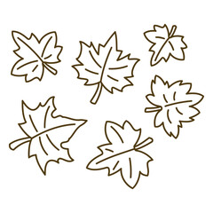 Obraz premium Autumn Leaves: Elegant line art of maple leaves showcases their intricate forms, ideal for illustrating the change of season and themes of natural beauty. 