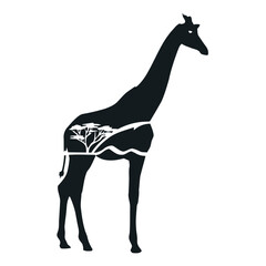 Obraz premium Silhouette of a Giraffe: A sophisticated silhouette of a giraffe, artistically portraying the essence of wildlife through a captivating fusion of minimalist form and thematic depth.