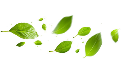 Green Floating Leaves Flying Leaves Green Leaf Dancing on white background. AI Generated Images