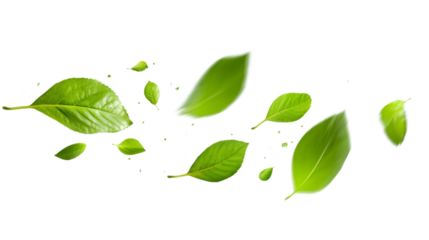 Green Floating Leaves Flying Leaves Green Leaf Dancing on white background. AI Generated Images
