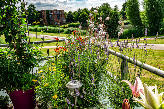 Landscape with summer flowers on a blooming balcony