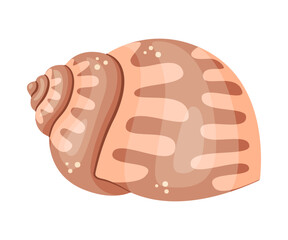 Seashell, Hand drawn trendy flat style isolated icon on a transparent background seashell. Vector illustration