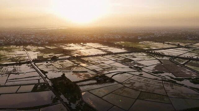 Flying over rice fields, Hoi An, Vietnam - wide shot sunset  - (4K)