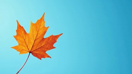 Fototapeta premium Single autumn leaf against a vibrant azure sky, a tranquil scene of nature's seasonal change
