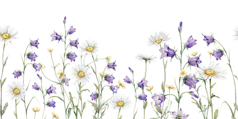 Seamless border watercolor Daisy and bluebell. Hand drawn illustration of Chamomile. White and violet blossom flower on isolated background. Drawing botanical invitation cards. paint summer wildflower © Ekatmart