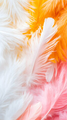 Fototapeta premium Soft pastel feathers in white orange and pink hues create a delicate and airy texture