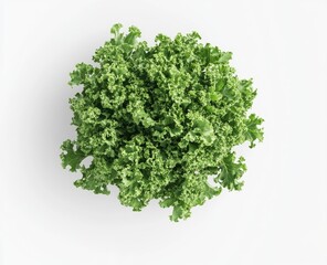 Obraz premium Fresh, vibrant green leafy vegetable, likely kale, in a round cluster, against a plain white background