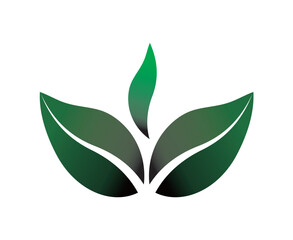 illustration of green leaf. green leaf logo.