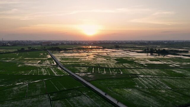 Flying over rice fields, Hoi An, Vietnam -  wide shot, dolly  - (4K)