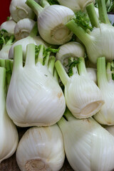 A close-up of fresh fennel bulbs with green stalks and delicate fronds, stacked at a market stall. The crisp texture and vibrant color highlight their freshness.