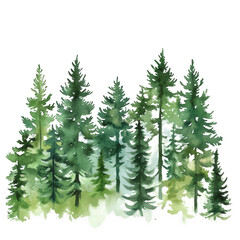 Obraz premium a watercolor illustration depicting a cluster of evergreen trees showcasing various shades of green and a soft natural aesthetic ideal for nature-themed designs or environmental projects