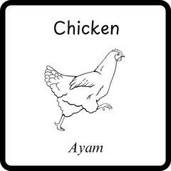 Animals Coloring E Book for Kid - chicken or ayam (2)