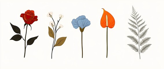 Floral and Botanical Illustration Set