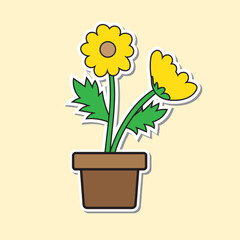 Yellow chrysanthemum flower vector illustration for sticker
