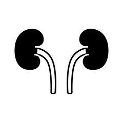 Kidney