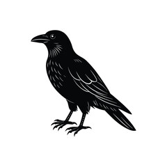 Beautiful crow vector art illustration