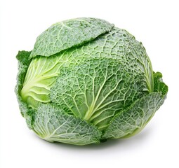 Fototapeta premium Fresh head of savoy cabbage